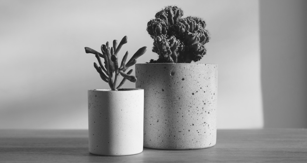 Concrete plant pots