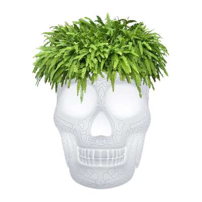 Qeeboo - Mexico Skull LED Outdoor Planter