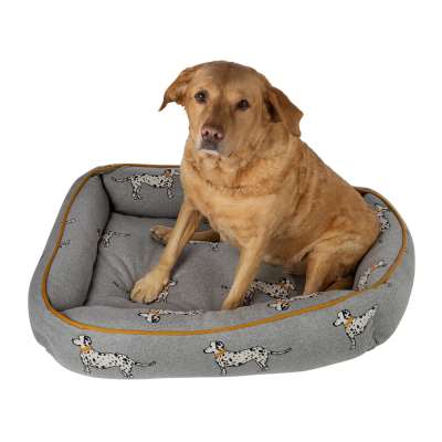 Retreat - Pet Bed - Medium - Spot Dog
