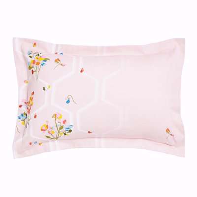 Ted Baker - Peppermint Oxford Pillowcase - Soft Pink