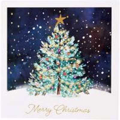 Shelter Merry Christmas Card, Pack Of 10