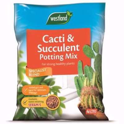 Westland Cacti & Succulent Compost 4L