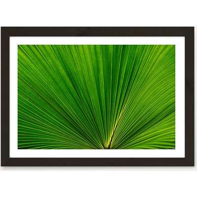 Fan Palm Leaves 2 Art Print Black Frame