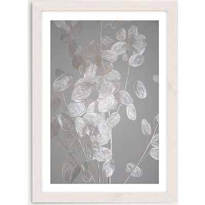 Honesty - A Branch of Dried Flowers Art Print White Frame