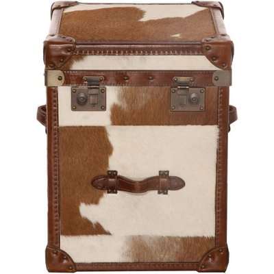 Hair On Hide Antique Vintage Small Leather Storage Trunk