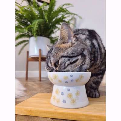 Necoichi - Raised Cat Food Bowl (Limited Edition Sakura 2022)