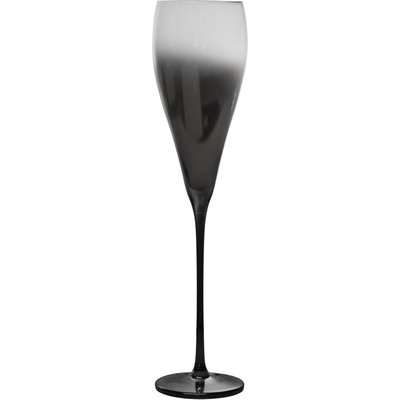 Ombre Champagne Flute Black and White