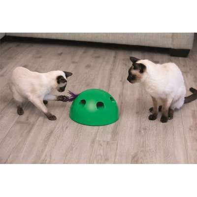 JML Pop 'n' Play Interactive Cat Toy