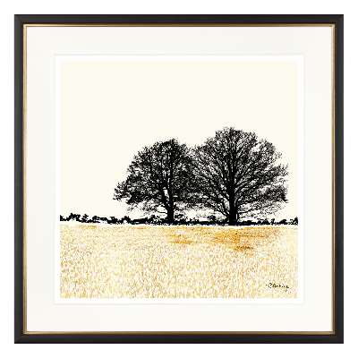 Charlotte Oakley - Tree Pair In Golden Field Framed Print & Mount, 36 x 36cm, Gold
