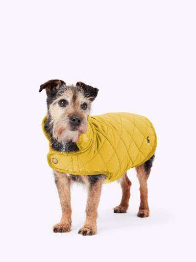 Joules Antique Newdale Gold Quilted Dog Coat