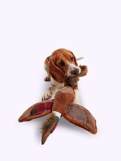 Joules Plush Pheasant Dog Toy