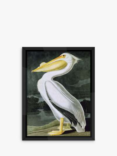 John James Audubon - Pelican Framed Print, 86 x 66cm, White
