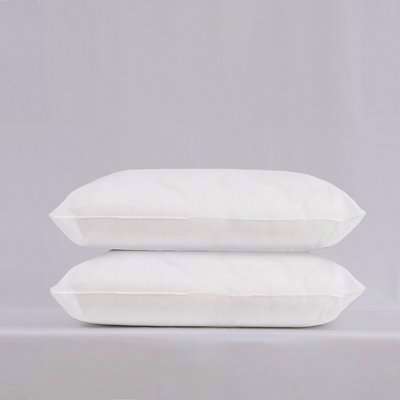 Pack of 2 Cushion Pads 50x30cm