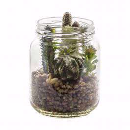 Succulent Garden In Glass Jar 100x100x190mm