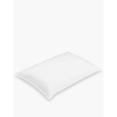 2 Pack Duck Feather & Down Firm Pillows white