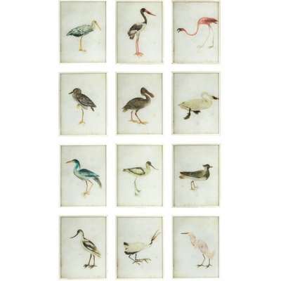 Bird Paintings, Set of 12 - Multi