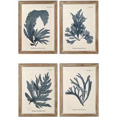 Seaweed Framed Prints, Set of 4 - Blue