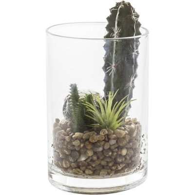 Gallery Interiors Garden In Glass Jar White Cactus