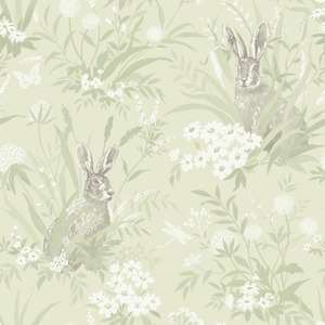 Aayla Hares Wallpaper Pale Green Holden 90881